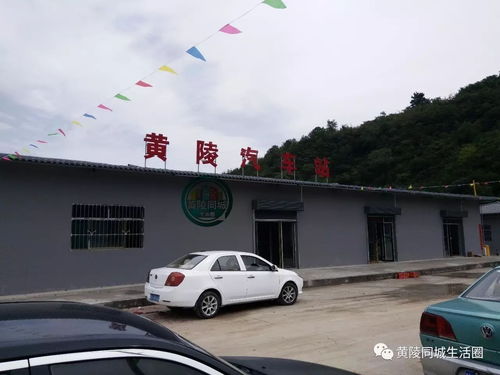 黄陵汽车站电话是多少 黄陵汽车站电话是多少