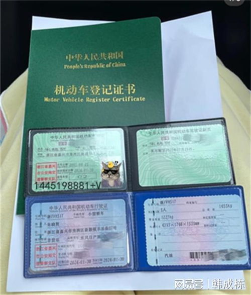 汽车补办大绿本多少钱