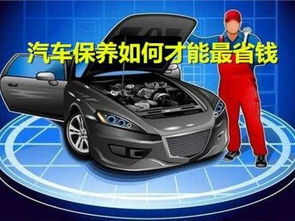 汽车包围保养多少钱 汽车包围保养多少钱