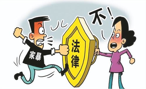 委员建议家暴者离婚少分或不分财产