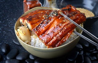 女子露营烤牛肉被牛群吃光