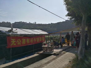 惠东到博罗汽车多少钱