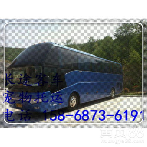 乐清汽车补贴多少天 乐清汽车补贴多少天