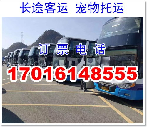 内江到汉中汽车多少钱 内江到汉中汽车多少钱