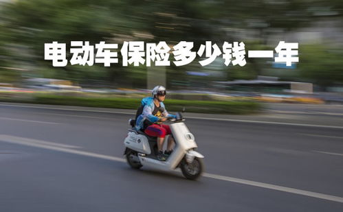 电动汽车上险多少钱 电动汽车上险多少钱