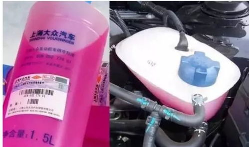 汽车防冻液应该多少