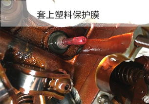 换汽车气门油封多少钱 换汽车气门油封多少钱