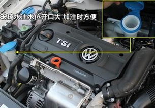 宝来汽车玻璃水能加多少(宝来汽车玻璃水加多少,深度解析与操作指南) 宝来汽车玻璃水能加多少(宝来汽车玻璃水加多少,深度解析与操作指南)