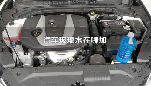 昕锐汽车玻璃水加多少(昕锐汽车玻璃水添加指南) 昕锐汽车玻璃水加多少(昕锐汽车玻璃水添加指南)