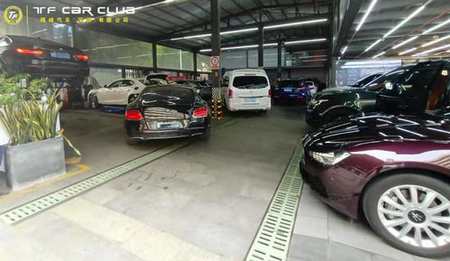 专业汽车清洗多少钱一次(专业汽车清洗价格解析，多少钱一次？