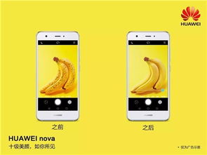 华为nova手机怎么连接电脑(华为nova手机与电脑的连接方法详解)
