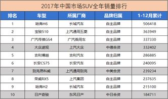 六月自主汽车占有率多少(六月自主汽车品牌市场占有率深度解析) 六月自主汽车占有率多少(六月自主汽车品牌市场占有率深度解析)