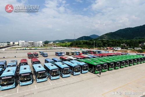 鄱阳县到泉州多少钱汽车(鄱阳县至泉州汽车票价详解) 鄱阳县到泉州多少钱汽车(鄱阳县至泉州汽车票价详解)