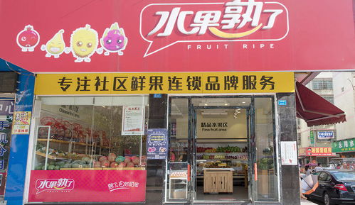 龙华汽车站水果园多少钱(龙华汽车站附近的水果园价格概览) 龙华汽车站水果园多少钱(龙华汽车站附近的水果园价格概览)