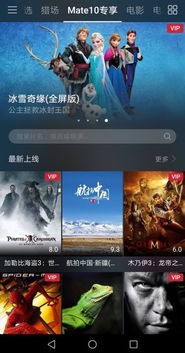 怎么在电脑上用华为视频(华为视频电脑端使用指南，轻松上手，畅享视听盛宴)