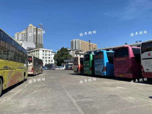 桂平江口汽车站电话多少(桂平江口汽车站电话多少,详细指南与相关信息) 桂平江口汽车站电话多少(桂平江口汽车站电话多少,详细指南与相关信息)