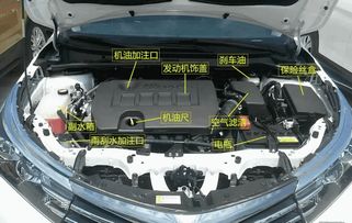 大众汽车换启动机多少钱(大众汽车换启动机的费用解析)