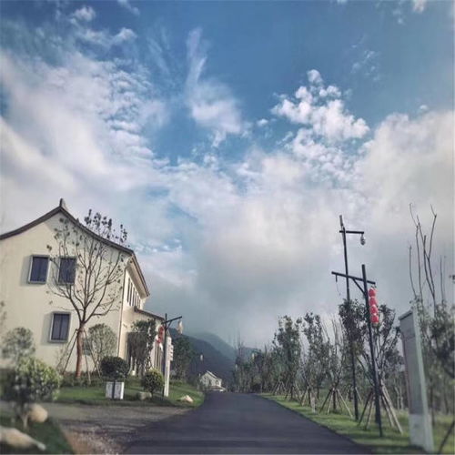 汽车里用的暖壶多少钱(汽车里用的暖壶价格解析) 汽车里用的暖壶多少钱(汽车里用的暖壶价格解析)