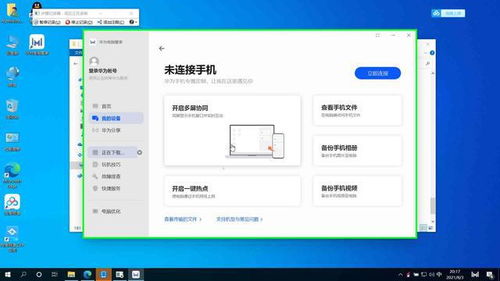 华为电脑怎么添加小宠物(华为电脑如何添加小宠物—详细指南)