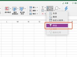 华为电脑表格怎么筛选(华为电脑表格筛选功能详解)