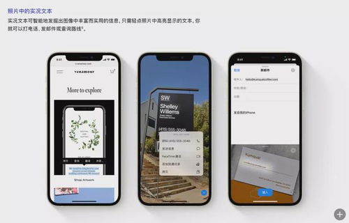 华为手机文本怎么筛选 华为手机文本怎么筛选