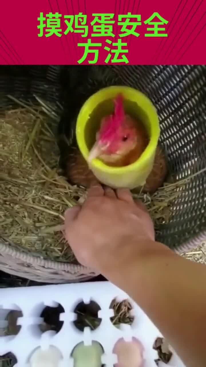 华为怎么录制手机桌面 华为怎么录制手机桌面
