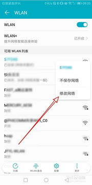 华为手机dns怎么查