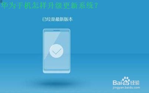 华为手机怎么升系统 华为手机怎么升系统