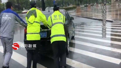 交警执勤时全身叮满蚊虫 交警执勤时全身叮满蚊虫