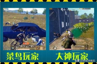 游戏朱罗纪世纪攻略 VS 精英小游戏游戏攻略