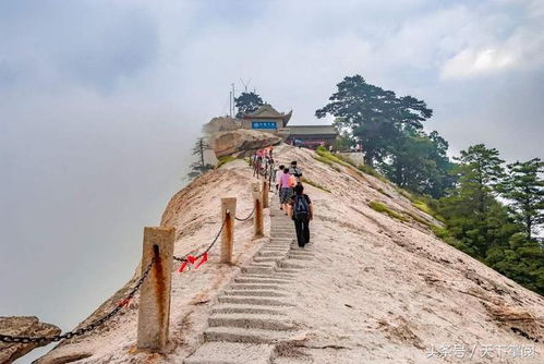 名山景区为了抢人爬山直接卷起来了