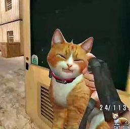 完美滑翔游戏攻略 VS 小猫游戏橘猫游戏攻略 完美滑翔游戏攻略 VS 小猫游戏橘猫游戏攻略