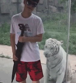 女子捕蝉喂狗 一套动作行云流水