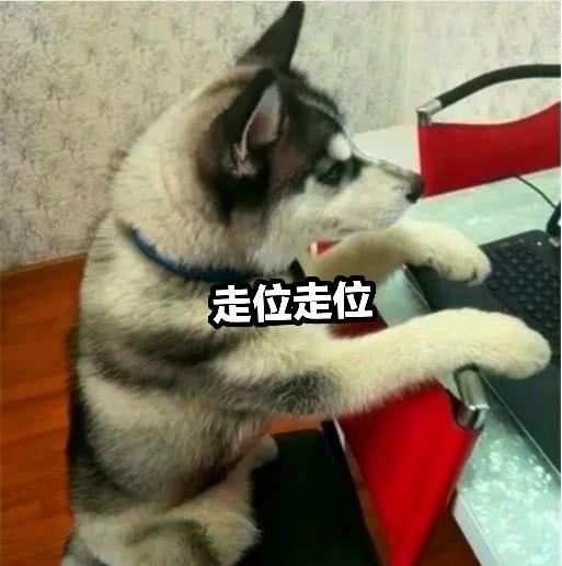 恐怖小游戏祭祖游戏攻略 VS 哈士奇回家游戏攻略