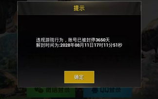 精英天成游戏攻略 VS 大盗游戏通关攻略 精英天成游戏攻略 VS 大盗游戏通关攻略