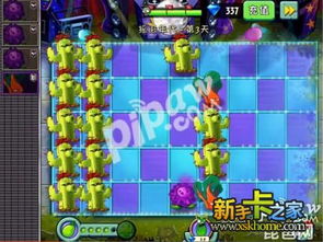 摇滚年代仙人掌攻略游戏 VS 天生游戏宿命游戏攻略