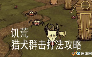 猎犬之王游戏攻略 VS 游戏攻略初来乍到