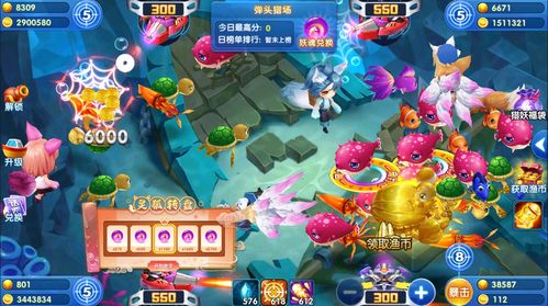 休闲喂鱼游戏攻略 VS 致力游戏攻略